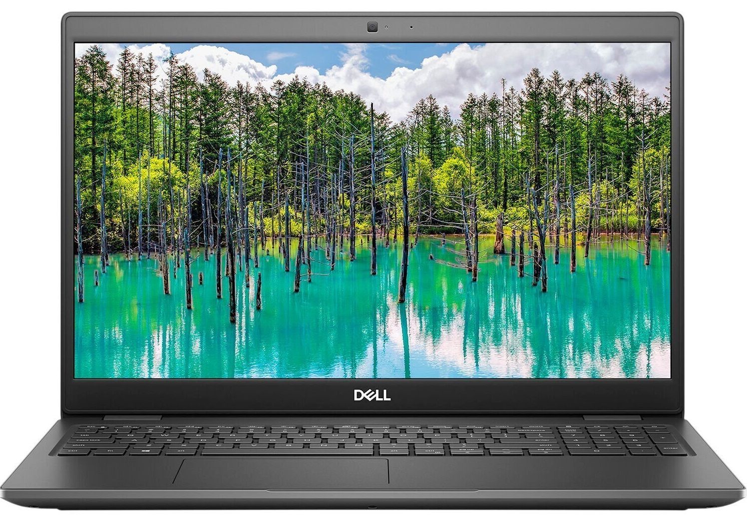 

Ноутбук Dell Latitude 3510 [N011L351015UA_WP]