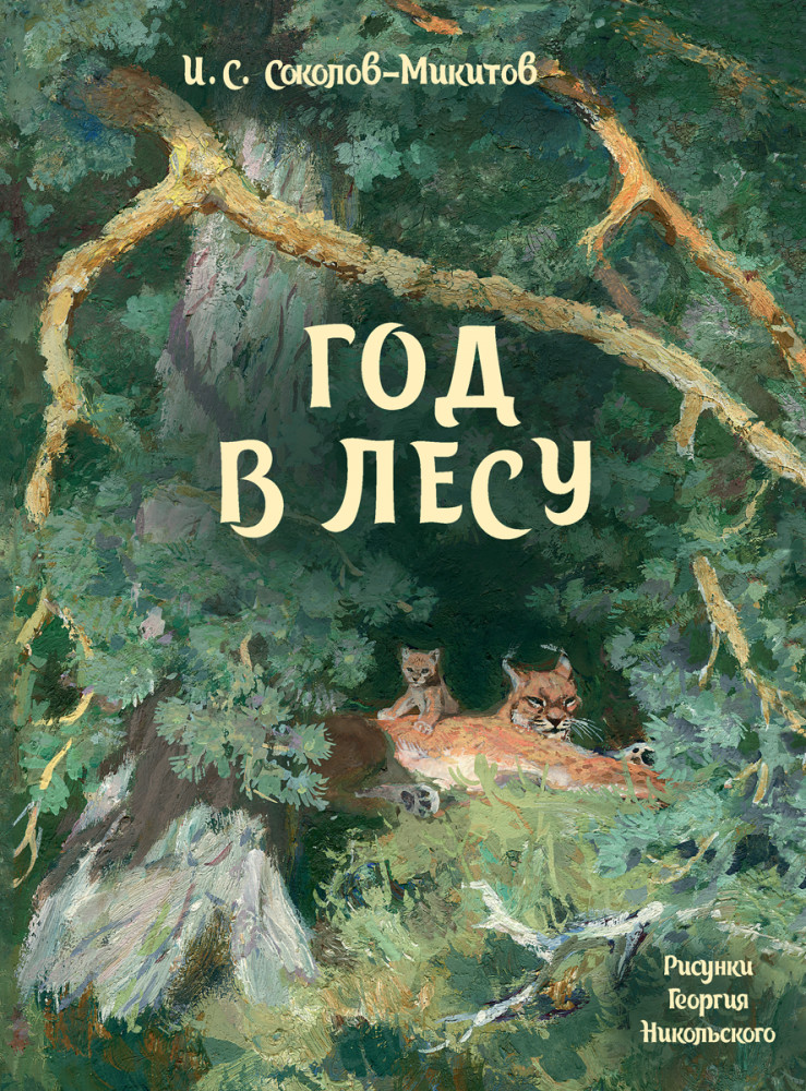 

Год в лесу
