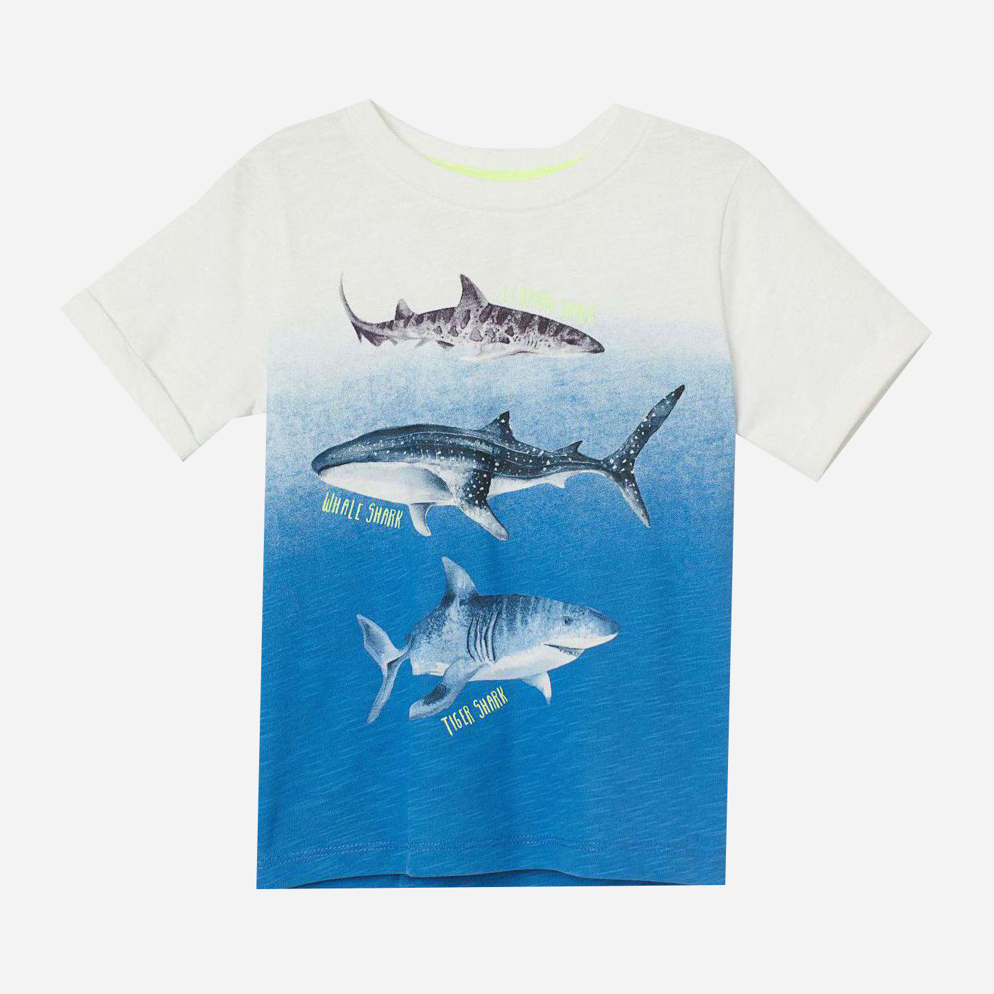 

Футболка H&M 1604-8629251 92 см Бело-синяя с принтом