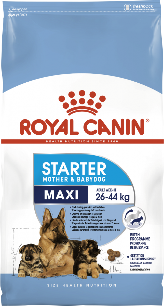 

Сухой корм для щенков Royal Canin Maxi Starter 4 кг