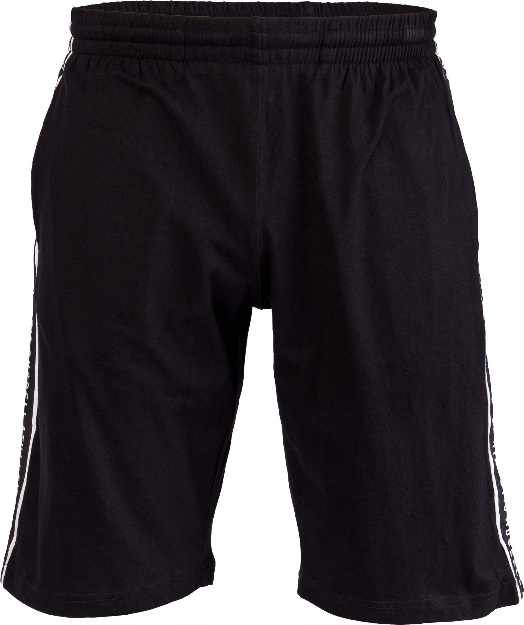 

Шорты Russell Athletic PANEL PRINTED SHORT,  (50, Шорты Russell Athletic PANEL PRINTED SHORT, XL (50)