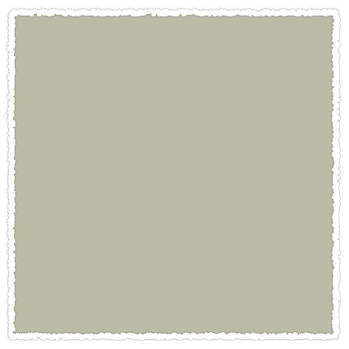 

Маркеры двусторонние Sketchmarker Brush GG5 Gray Green 5 Серо-зеленый 5