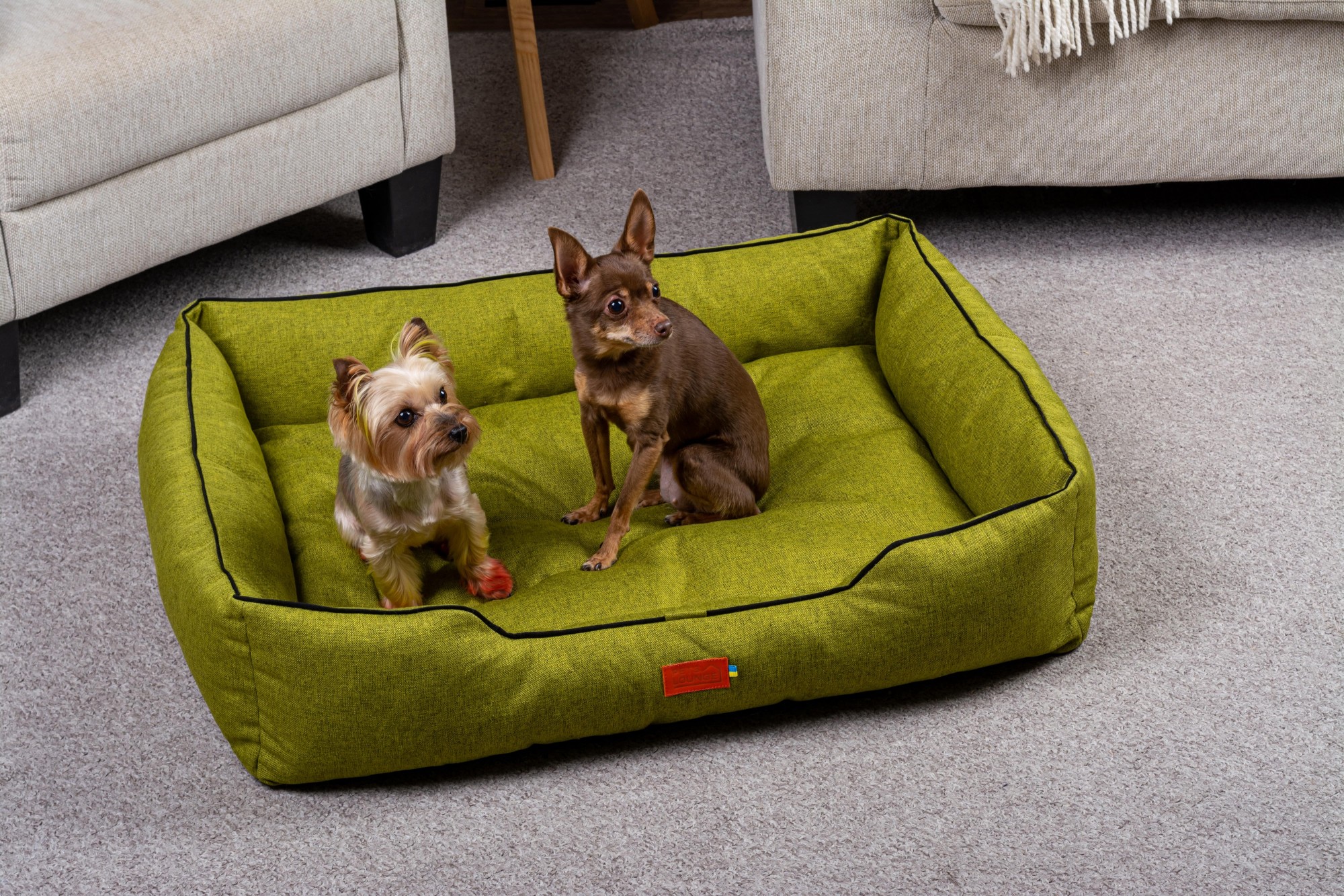 

Лежак для собак и кошек Pets Lounge Classic L, зелёный