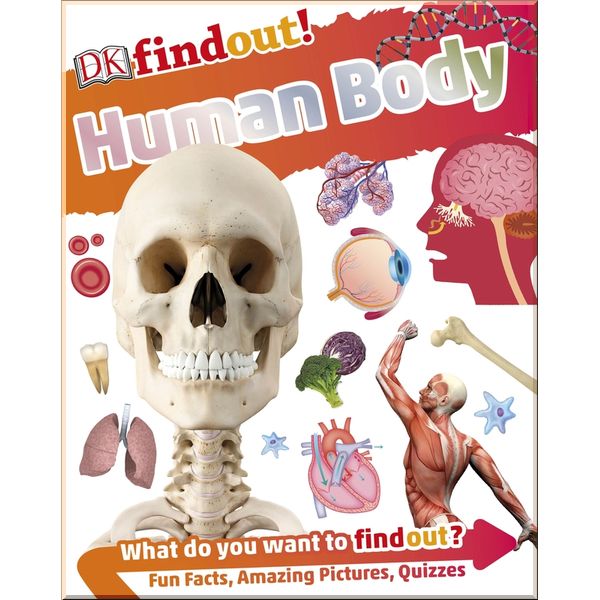 

DK DKfindout! Human Body. Dorling Kindersley. ISBN:9780241285077