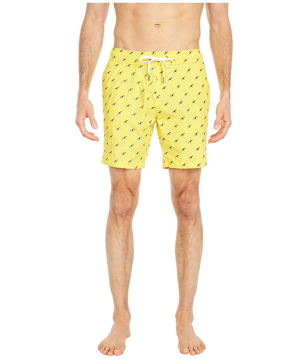 

Шорты для плавания Onia Charles Trunks 7" Embroidery Vibrant Yellow, Шорты для плавания Onia Charles Trunks 7" Embroidery Vibrant Yellow, S (44)