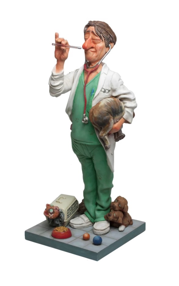 

Статуетка Ветеринар Forchino The Veterinarian 41 см