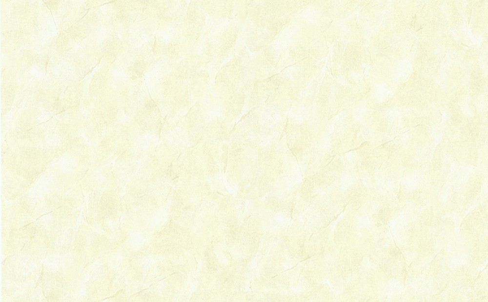 

Обои на флизелиновой основе Status 9034-18 1.06*10.05м