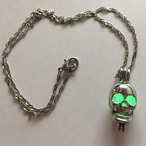 

Подвеска на шею Anex Scull Light в подарочной упаковке