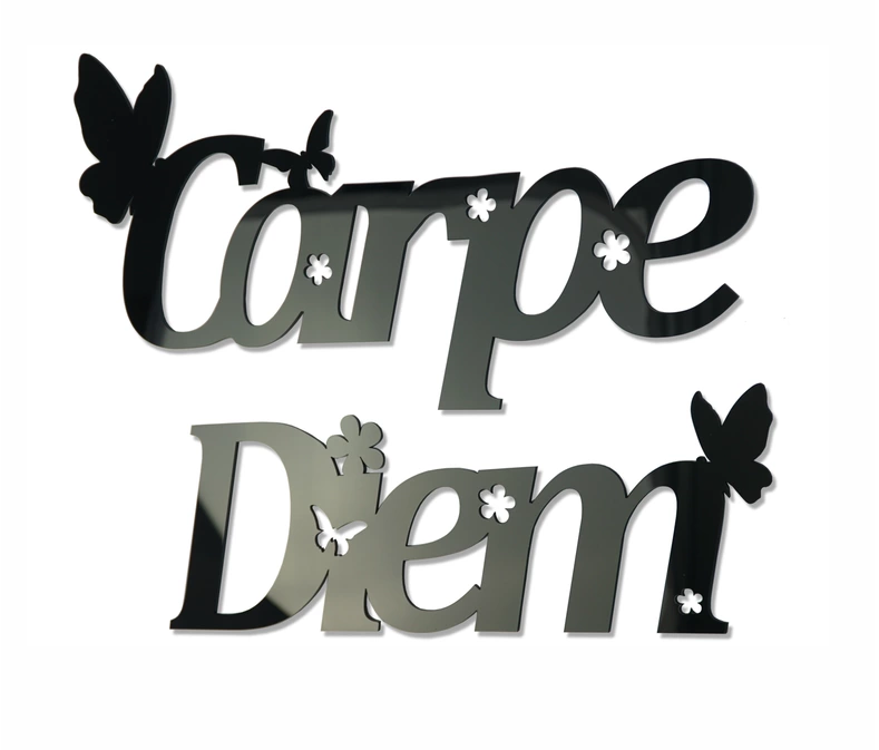

Декоративная акриловая 3D наклейка CARPE DIEM FLEXISTYLE интерьерная глянцевая