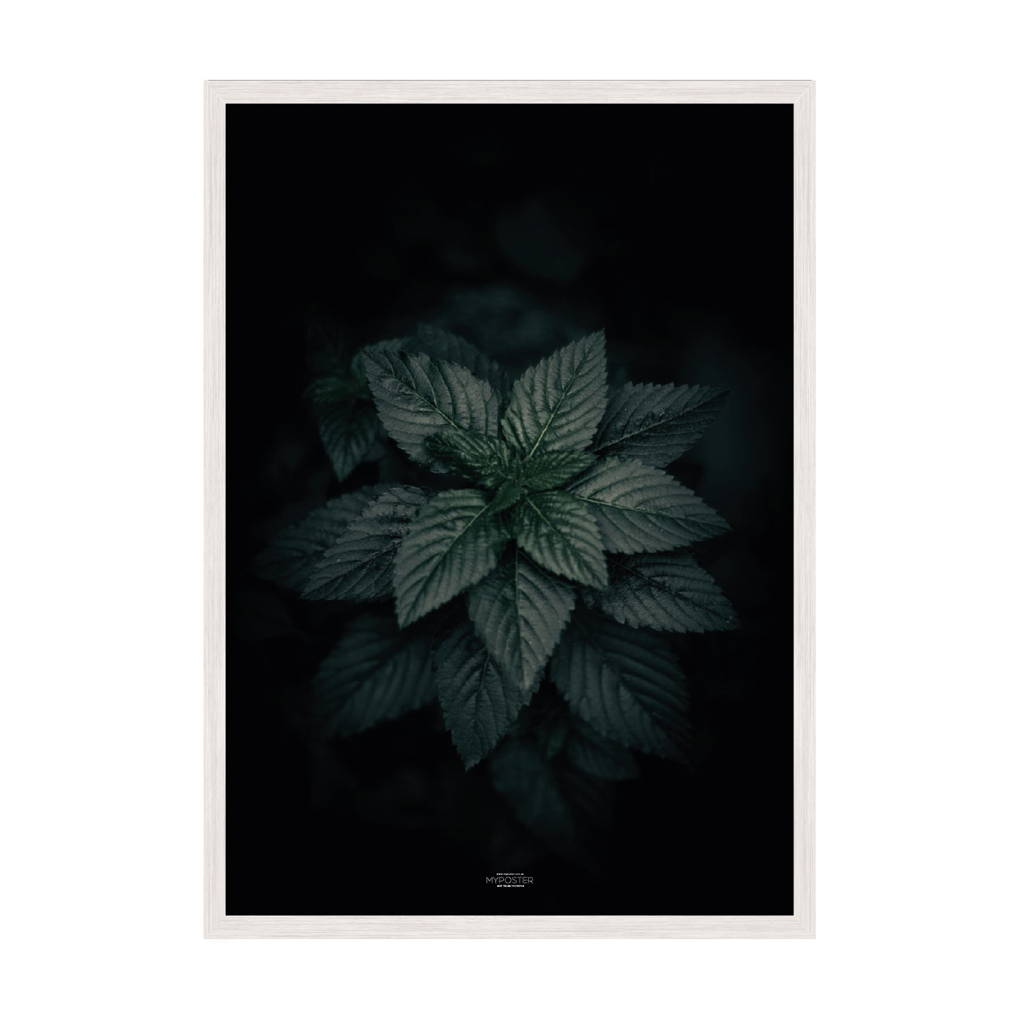 

Постер "Dark Green" с антибликовым стеклом 59.6 x 84 см в белой рамке