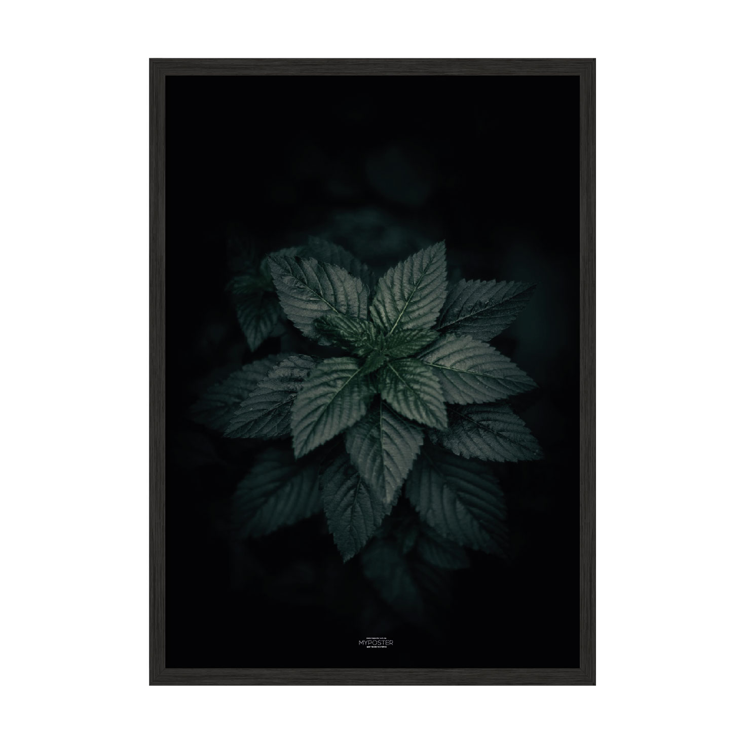 

Постер "Dark Green" без стекла 42 x 59.4 см в чёрной рамке