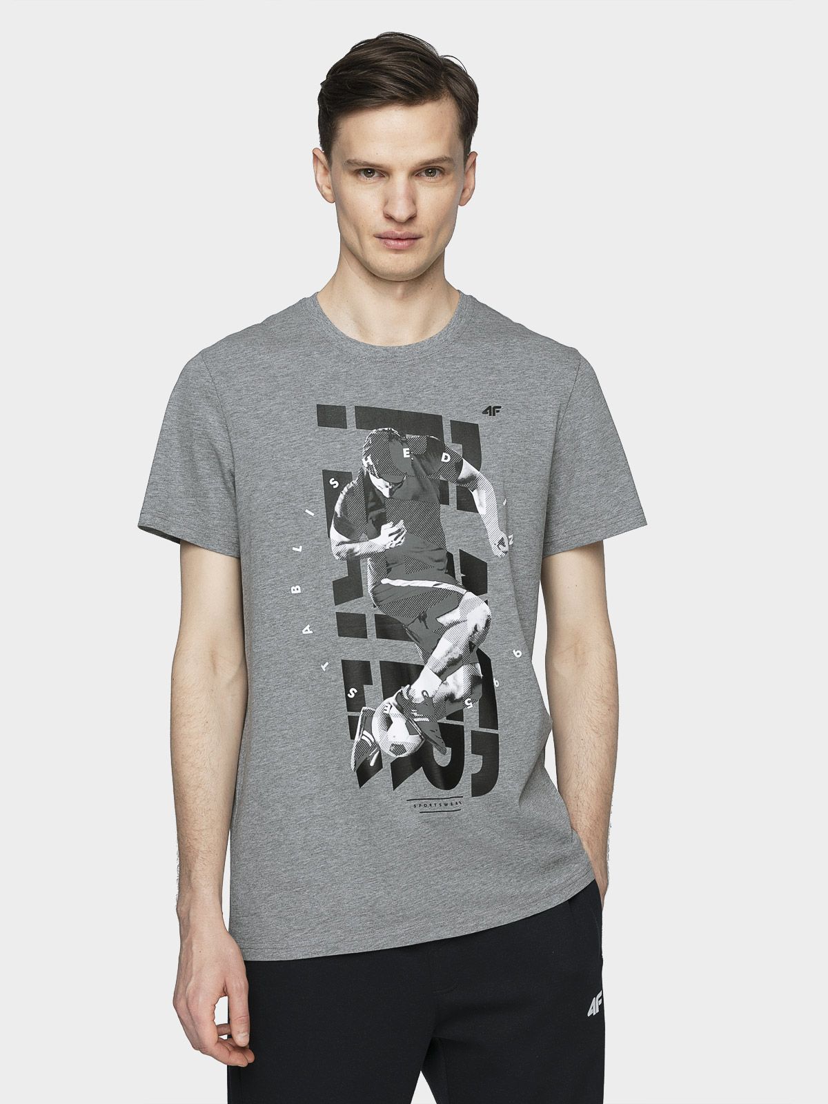 

Футболка 4F H4L21-TSM011-25M S Grey Melange