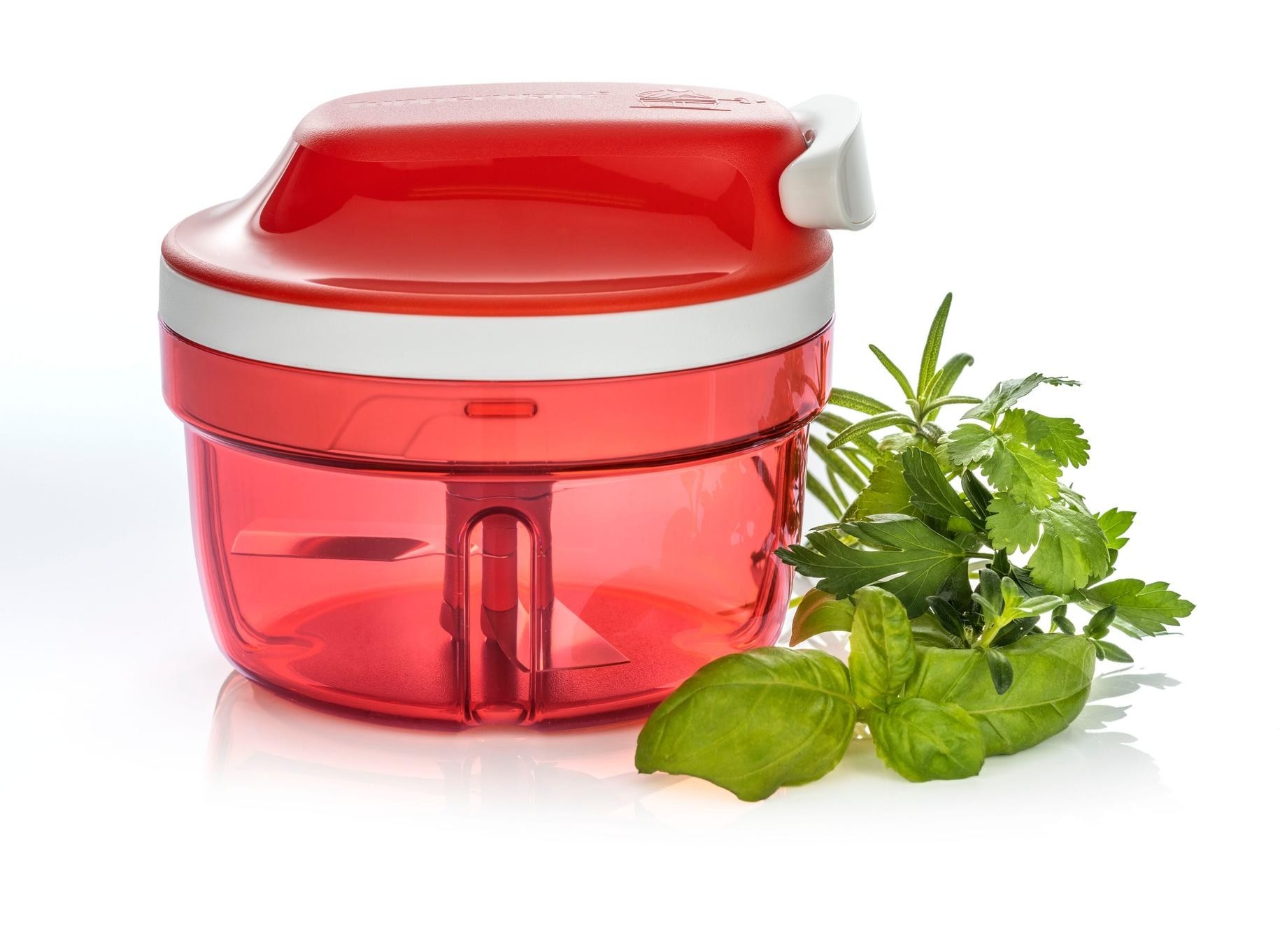 

Измельчитель SuperSonic Компакт 300 мл Tupperware (Г146)