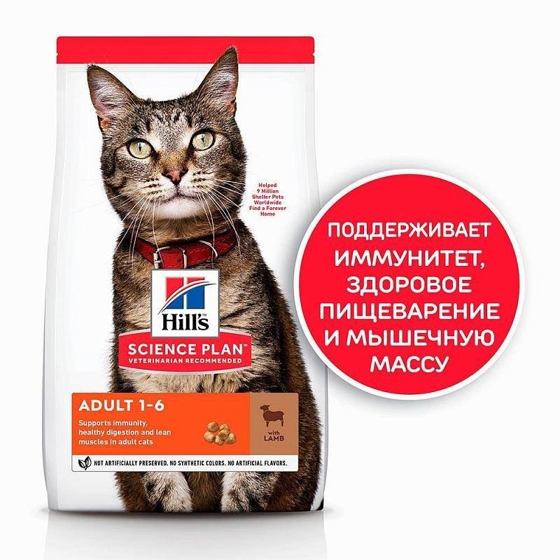 

Сухой корм для кошек Hill's (Хиллс) Science Plan Feline Adult Lamb с ягненком 10 кг (052742024394)