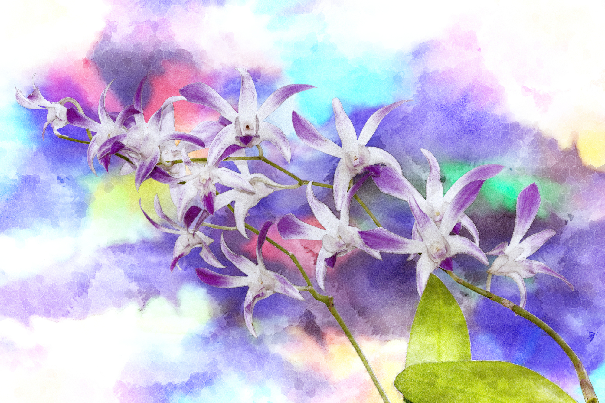 

Фотообои Цветы 'Орхидеи' (4303) , Песок