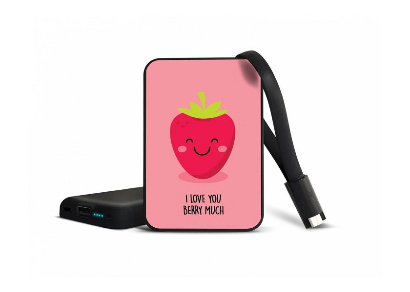 

УМБ Smartoools MC10 Berry 10000 mAh