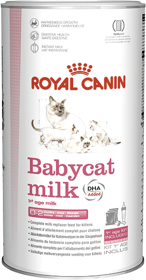

Заменитель молока для котят Royal Canin Babycat Milk 300 г (25530039)