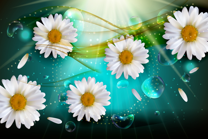 

Фотообои 3D '3d ромашки' (2610) , Штукатурка