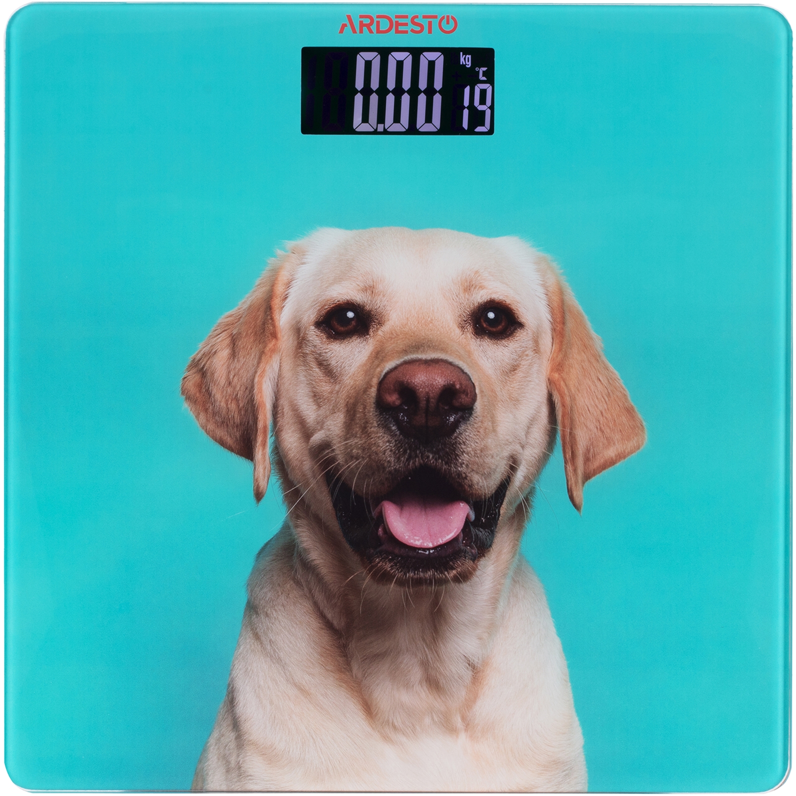 

Весы напольные ARDESTO SCB-965DOG