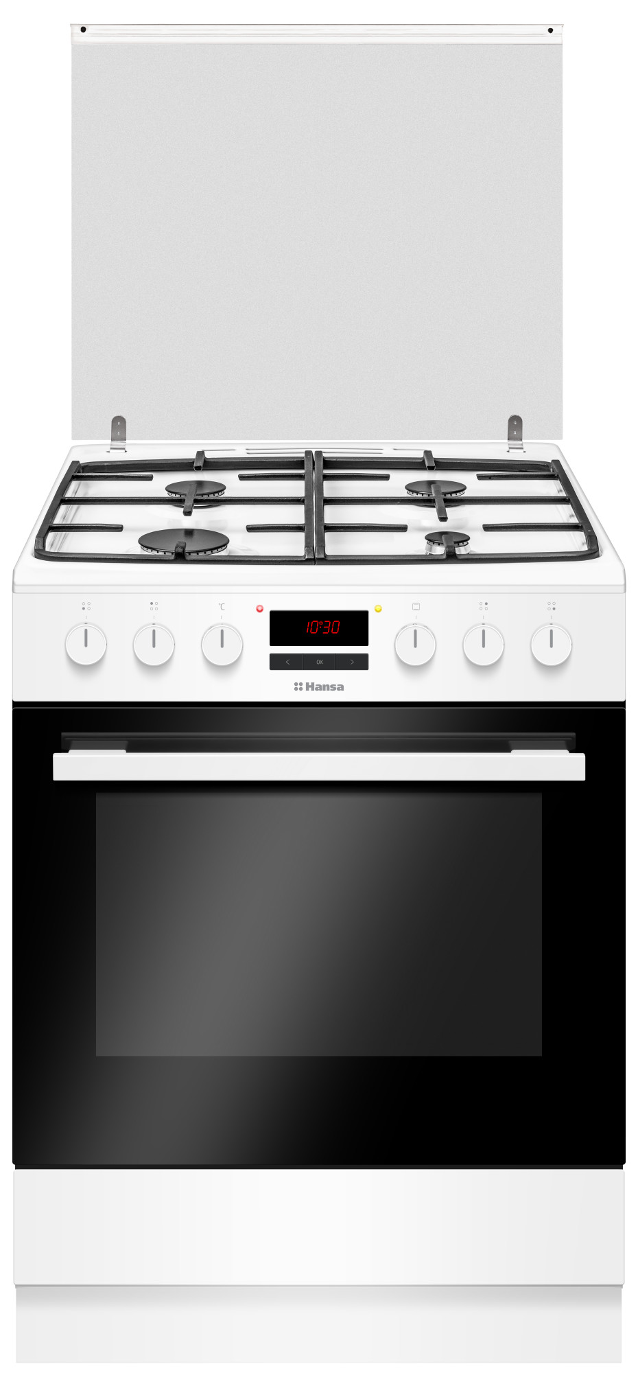 

Комбинированная плита HANSA FCMW68229