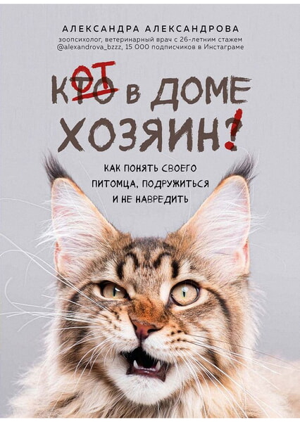 

Кот в доме хозяин! Как понять своего питомца, подружиться и не навредить 99476