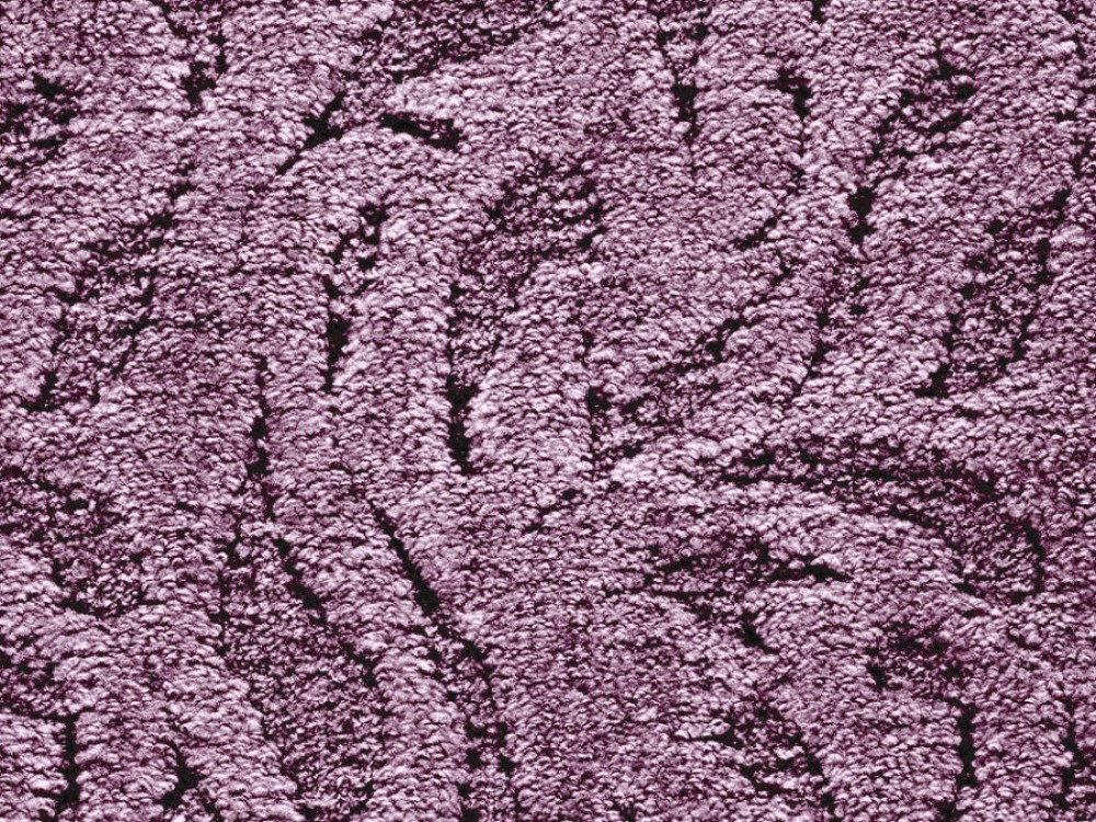 

Ковер ITC EMILIA EMILIA 84 3x4 фиолетовый