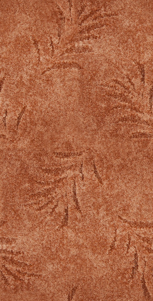 

Ковер Domo FERN FERN 881 4x1 коричневый