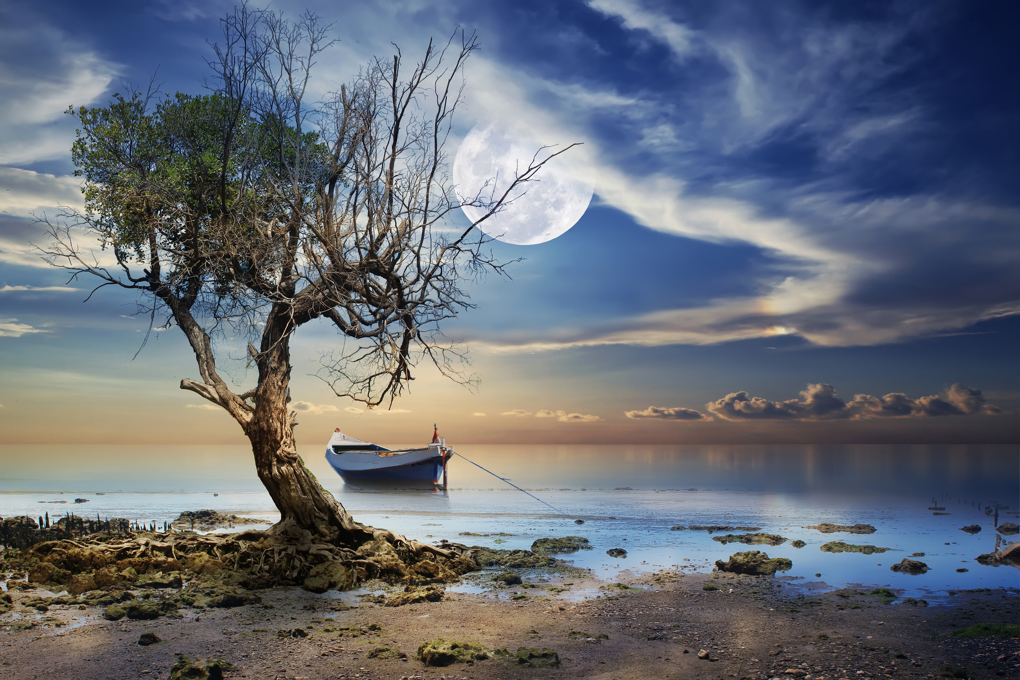 

Фотообои Море 'Дерево ' (4511) , Холст