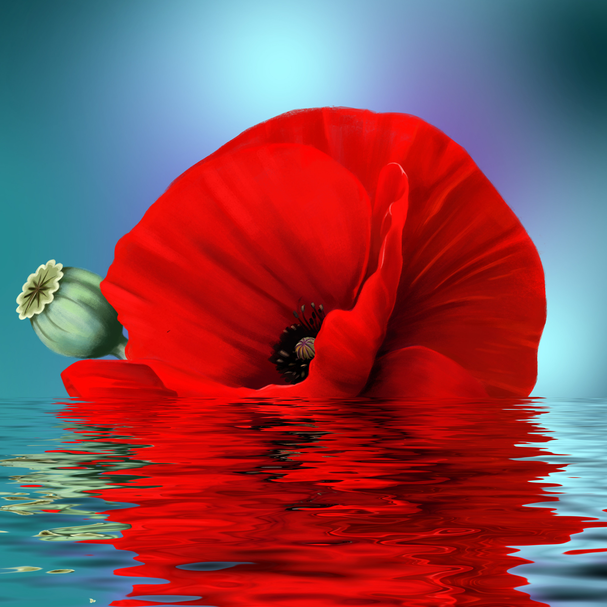 

Фотообои Цветы 'Мак на воде' (4517) , Штукатурка