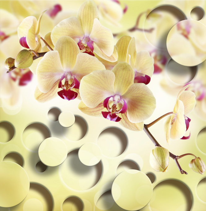 

Фотообои 3D '3d орхидеи' (2541) , Живопись