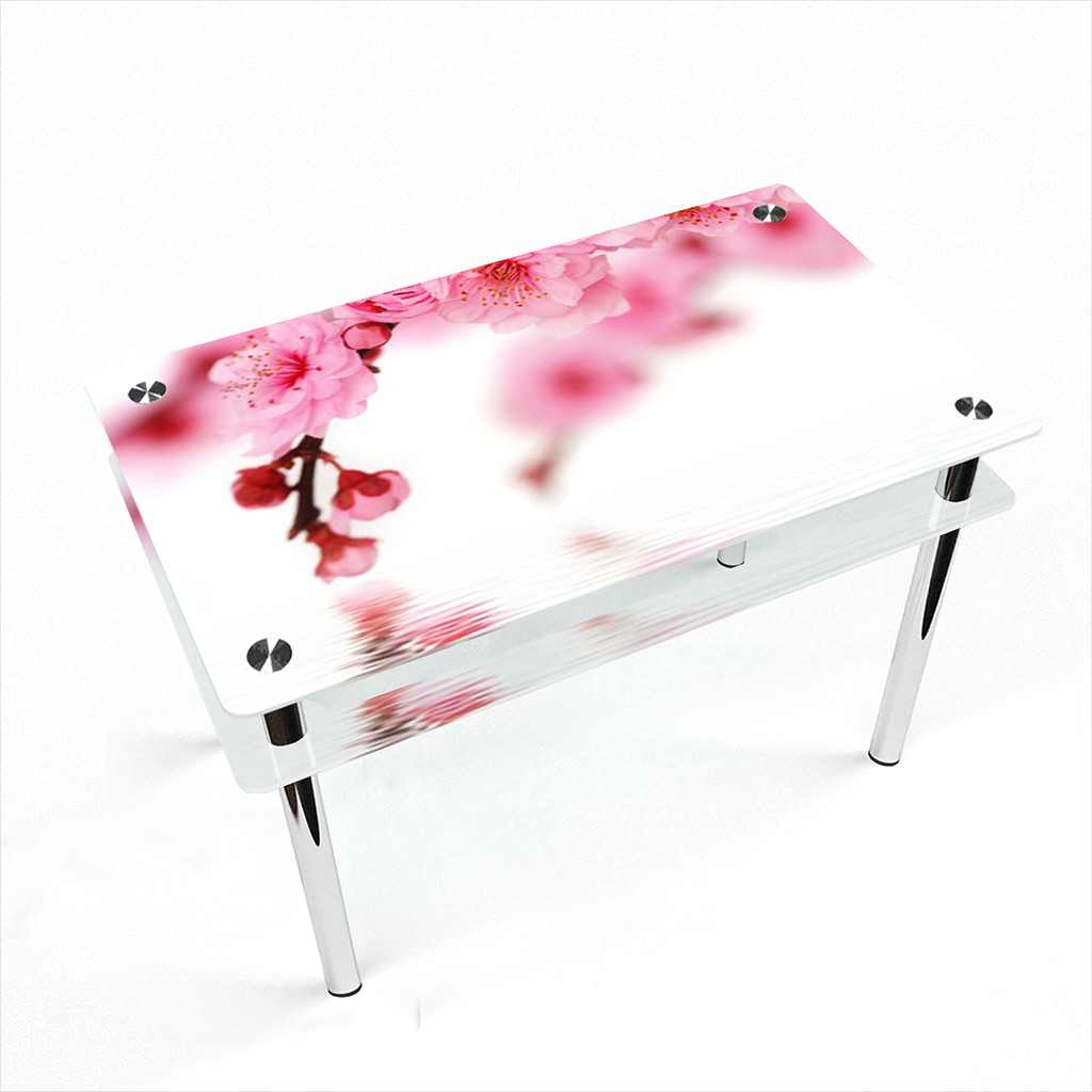 

Стіл БЦ-стіл Прямокутний з проходить полицею Sakura Еко (610 x 910 x 750)