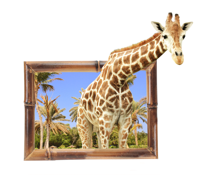 

Фотообои 3D '3d жираф' (2590) , Фреска