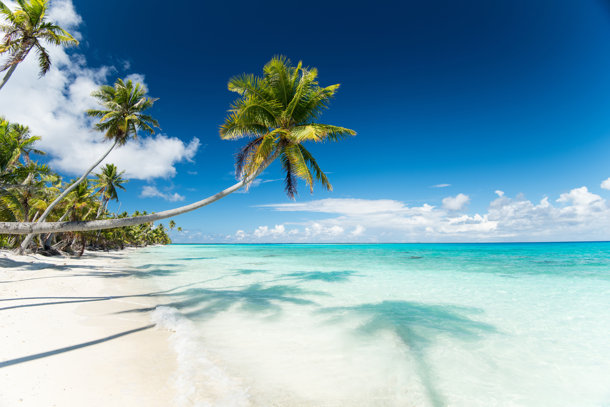 Пляж белый песок пальмы