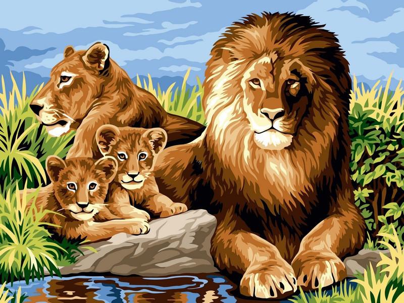 

Картина рисование по номерам Babylon VK101 Львиный прайд 30х40см набор для росписи по цифрам в коробке