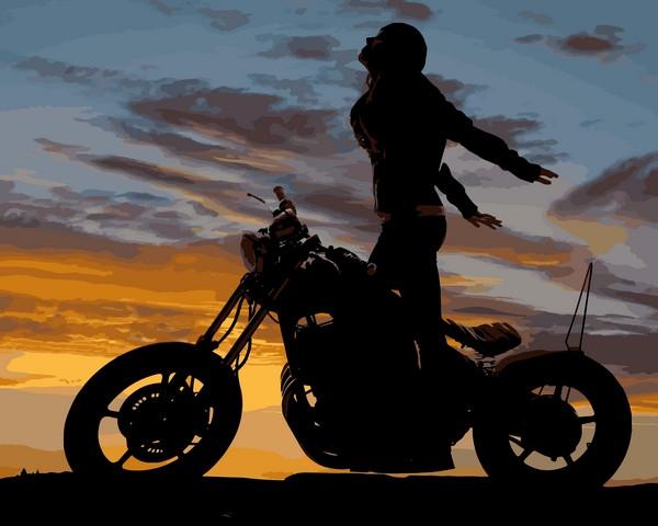 

Картина рисование по номерам Mariposa Мотоциклистка Q2218 40х50см набор для росписи, краски, холст, кисти