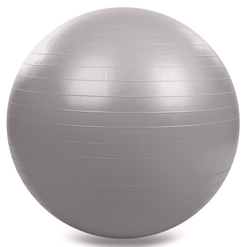 

Мяч для фитнеса Profi 65 см FI-1980 silver