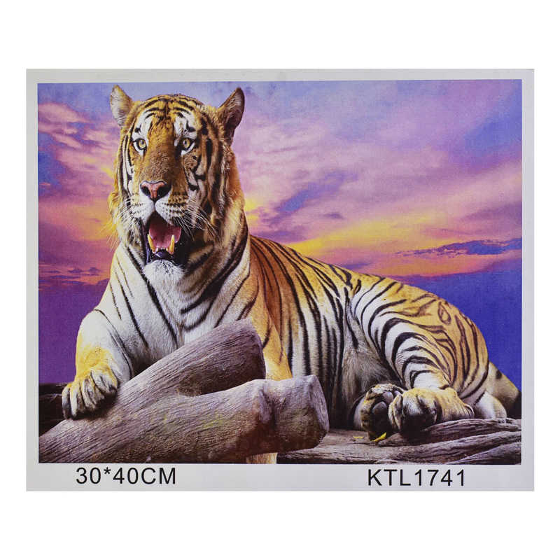 

Картина по номерам JIA TU TOY KTL 1741 40 х 30 см