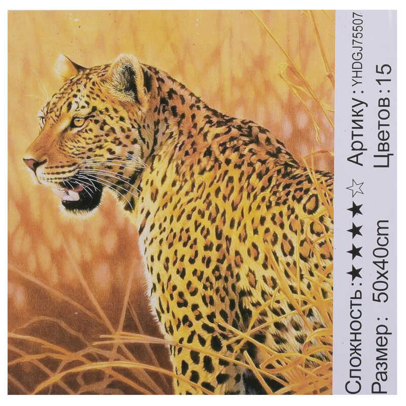 

Картина по номерам + Алмазная мозайка 2 в 1 JIA TU TOY (YHDGJ 75507) 50 х 40 см