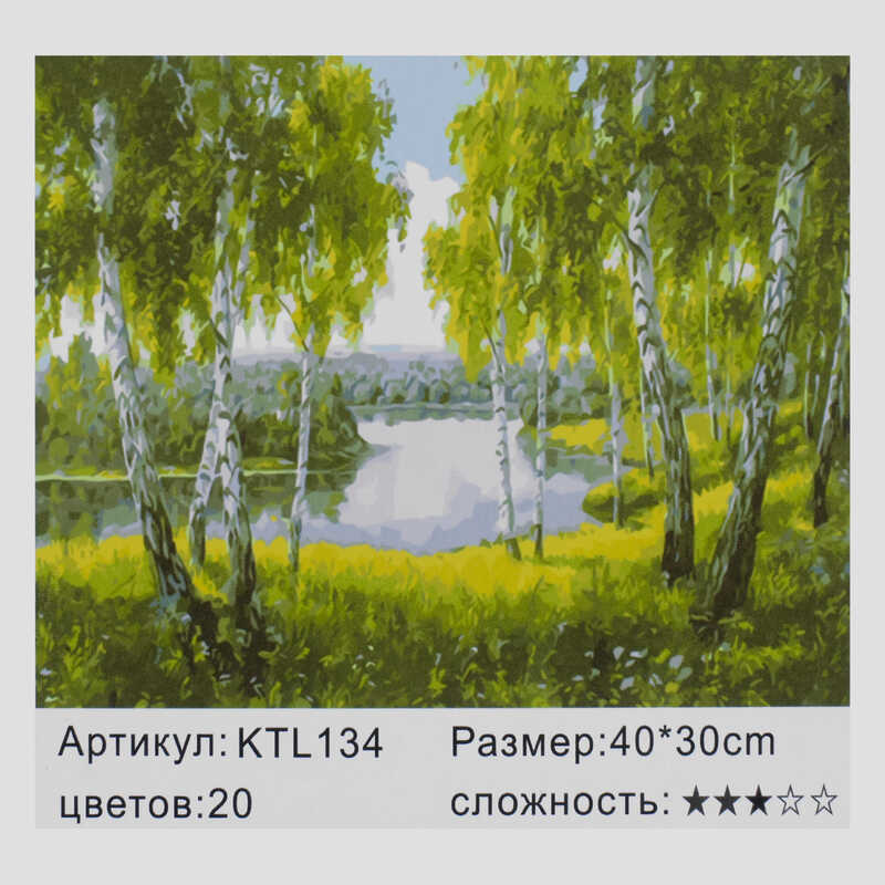 

Картина по номерам JIA TU TOY KTL 0134 40 х 30 см