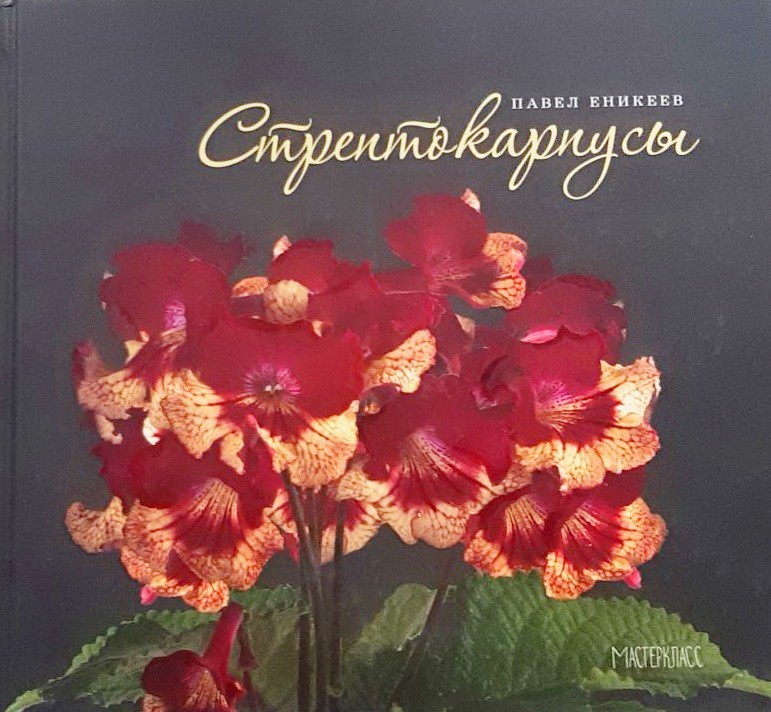 

Стрептокарпусы - Павел Еникеев