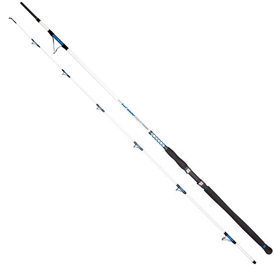 

Спиннинг Dragon Boat Master Pilk S.D.R.cast 2.00m 100-250g (CHC-24-74-201)