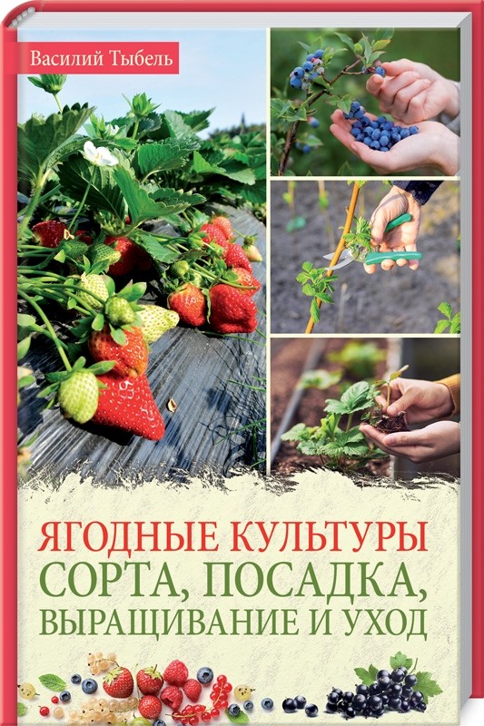 

Ягодные культуры. Сорта, посадка, выращивание и уход (18400107)