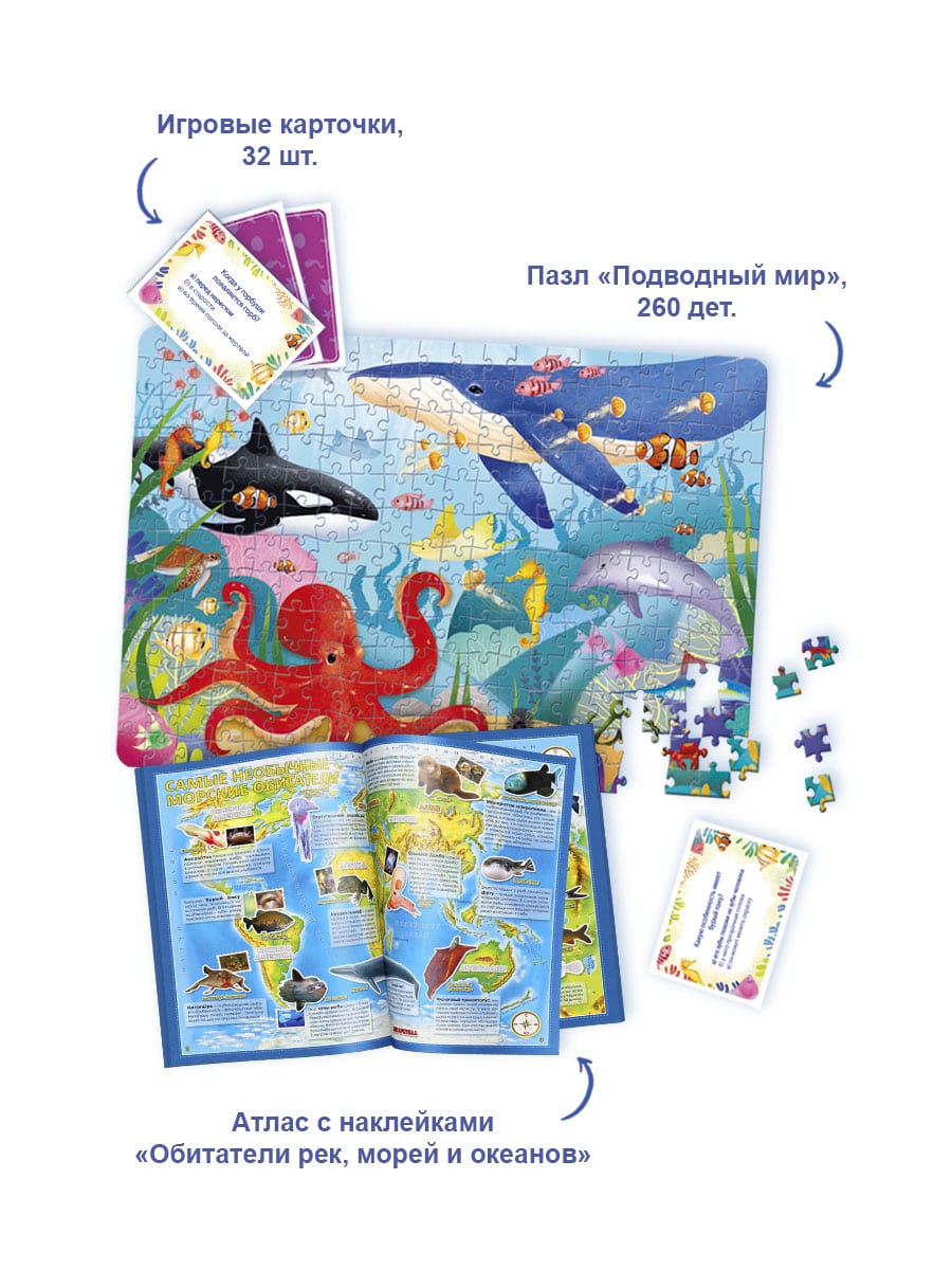 

Большой подарок.`В океане` (пазл, атлас с наклейками, игровые карточки) (18382667)