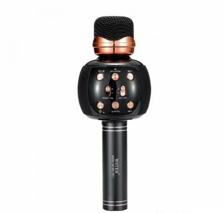 

Микрофон караоке с колонкой Детский микрофон WSTER Black M137