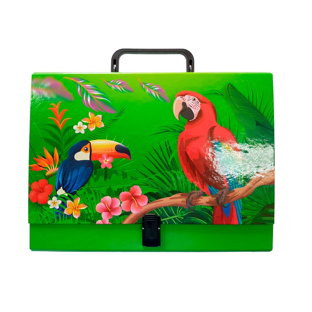 

Папка-портфель iTEM, А4, на замке, PP-покрытие, полноцветный, Птицы (304\PT)