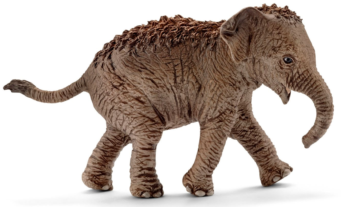 

Индийский слоненок, игрушка-фигурка, Schleich (12-33429)