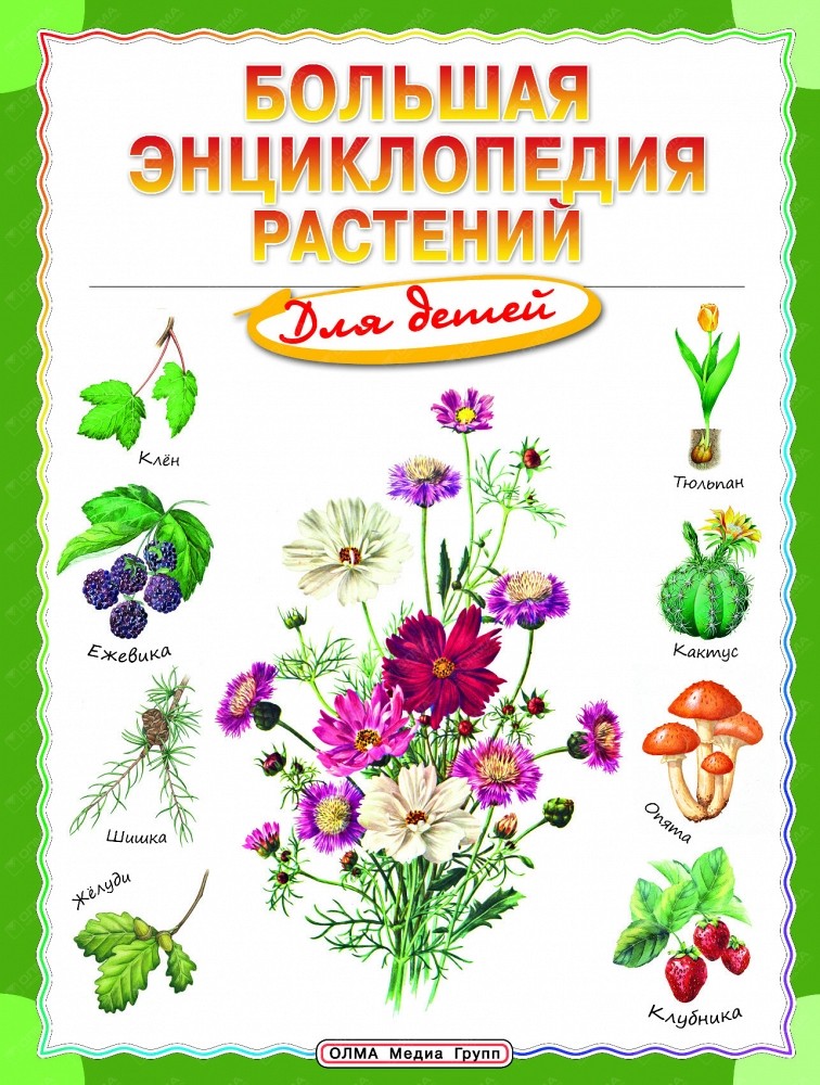 

Большая энциклопедия растений для детей