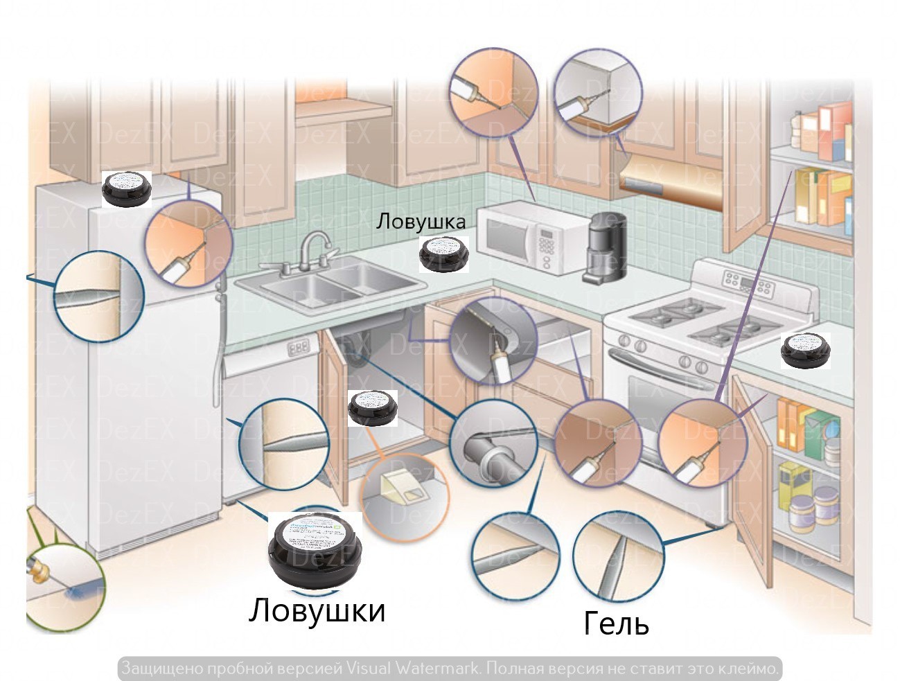 Инсектицидная лампа для дома от насекомых (30 м²) VAYOX VA0193 с  вентилятором – фото, отзывы, характеристики в интернет-магазине ROZETKA от  продавца: AWA TECH PORT | Купить в Украине: Киеве, Харькове, Днепре, Одессе,