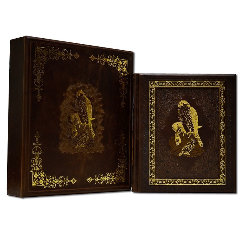 

Подарочная книга. Охота в коробке Dn-112