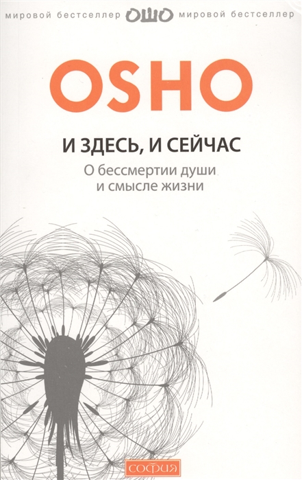 

И здесь и сейчас. О жизни, смерти и прошлых воплощениях (768617)